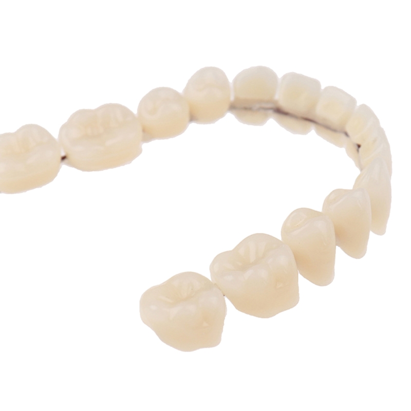 Resin Teeth Denture Upper Lowe - Teeth Whitening Mask 评论和价格